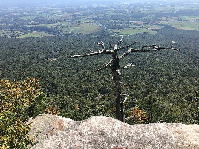 Picture 6 of Strickler Knob Hike 092820