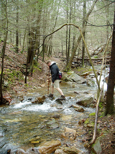 Picture 5 of Sugar Knob Hike 040304