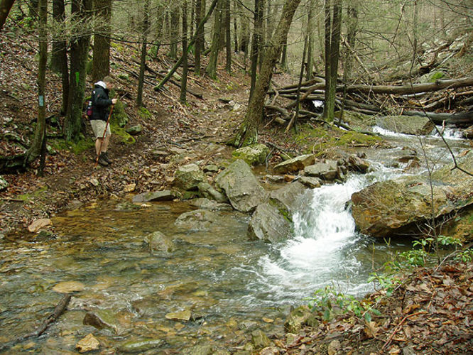 Picture 6 of Sugar Knob Hike 040304