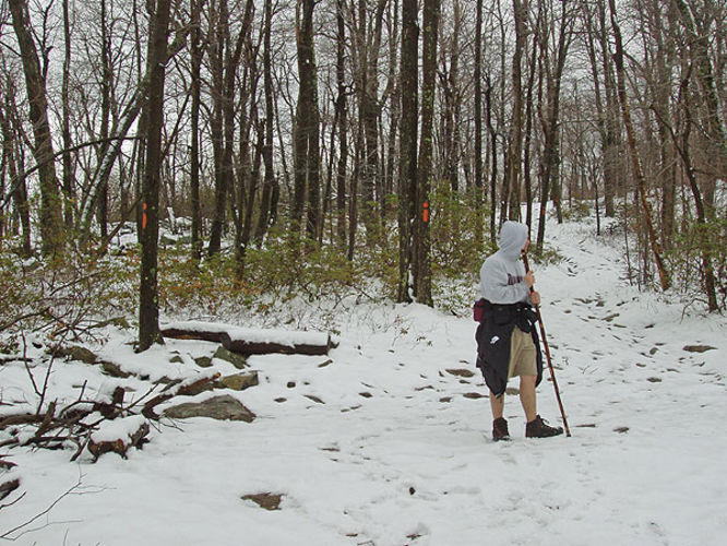 Picture 11 of Sugar Knob Hike 040304