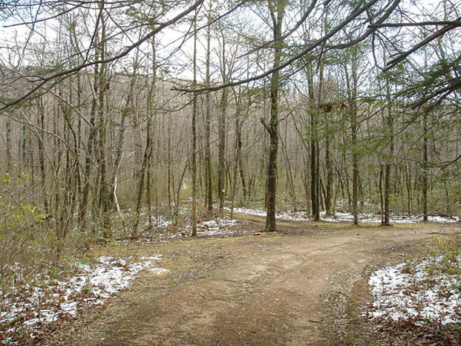 Picture 14 of Sugar Knob Hike 040304
