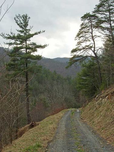 Picture 28 of Sugar Knob Hike 040304