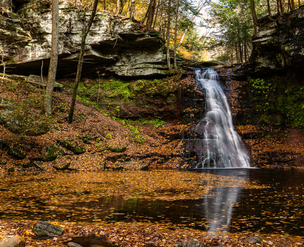 Sullivan Falls  - Sullivan Falls  album