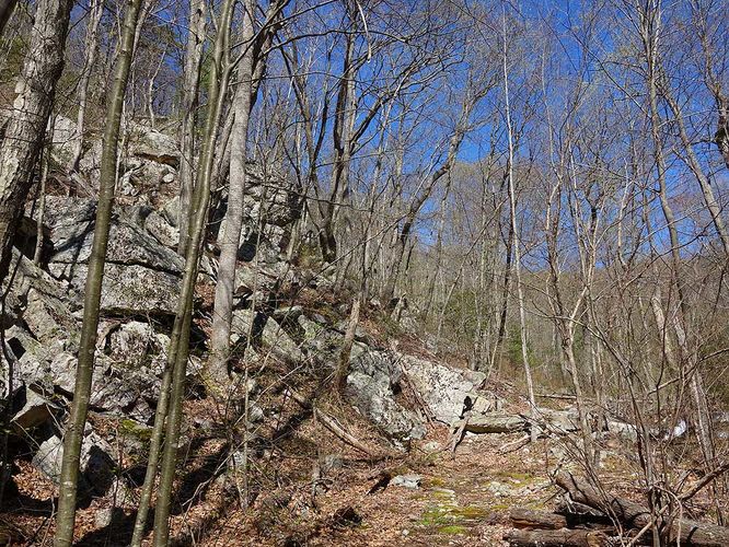 Picture 31 of Sulphur Springs Gap and White Rock Cliff Hike 042019