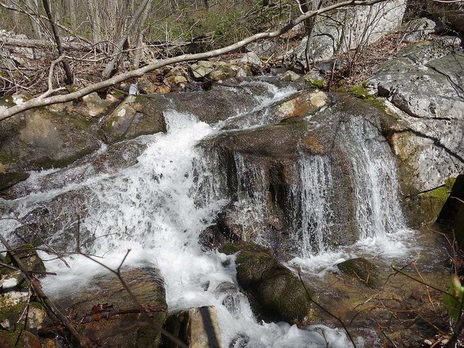 Picture 33 of Sulphur Springs Gap and White Rock Cliff Hike 042019