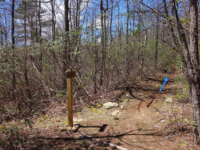 Picture 25 of Sulphur Springs Gap and White Rock Cliff Hike 042019