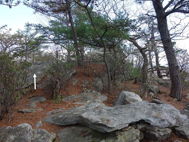 Picture 17 of Sulphur Springs Gap and White Rock Cliff Hike 042019
