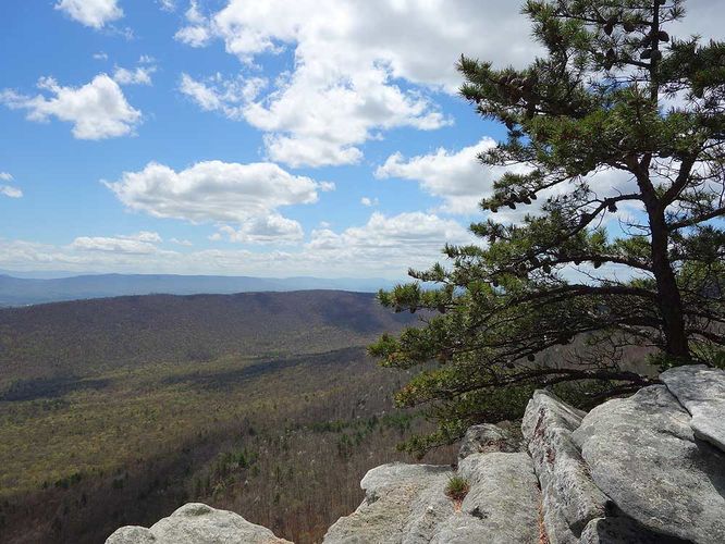 Picture 19 of Sulphur Springs Gap and White Rock Cliff Hike 042019