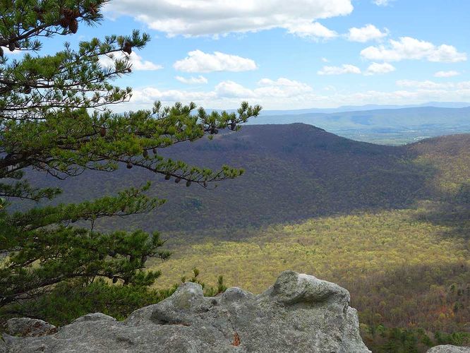 Picture 5 of Sulphur Springs Gap and White Rock Cliff Hike 042019