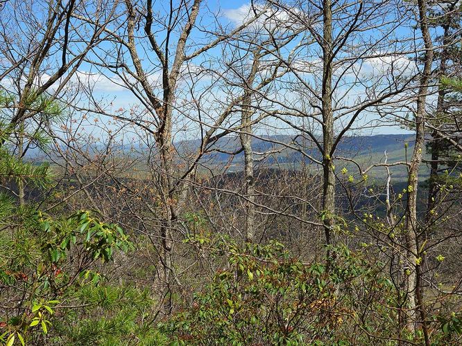 Picture 9 of Sulphur Springs Gap and White Rock Cliff Hike 042019