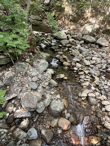 Old Rag Mountain Hike - Summer2025 album