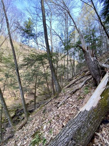 Dangerously steep grade with skinny trail