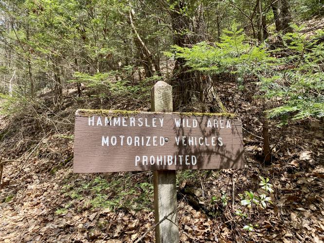 Hammersley Wild Area sign - no motor vehicles