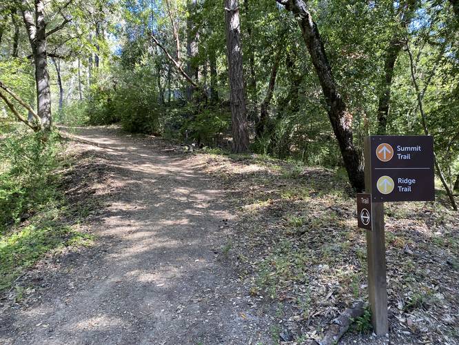 Picture 2 of Summit Trail 1440 Multiversity