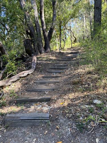 Picture 5 of Summit Trail 1440 Multiversity