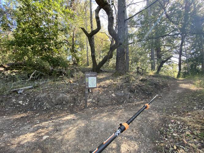 Picture 7 of Summit Trail 1440 Multiversity