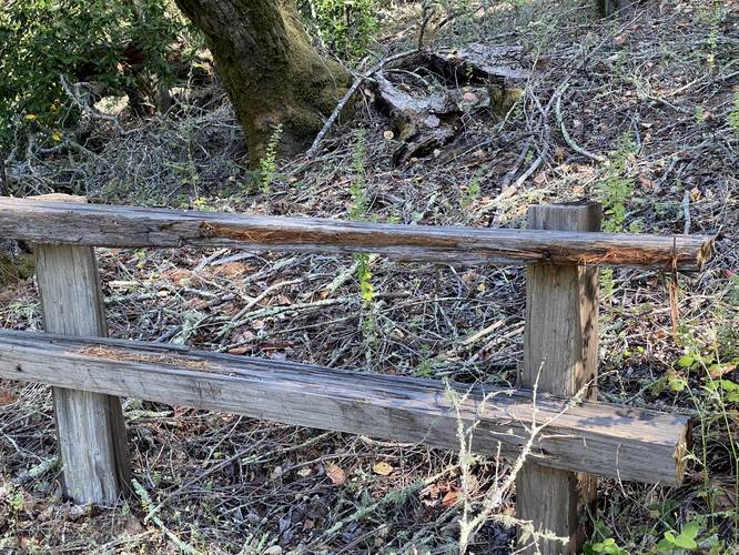 Signs of bears - claw marks on the fence