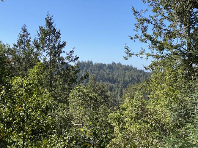 Summit Trail - Summit Trail 1440 Multiversity album