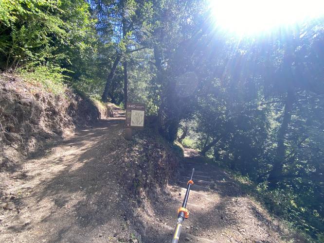 Picture 17 of Summit Trail 1440 Multiversity