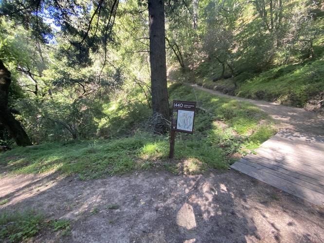 Trail junction leads to Ridge Trail