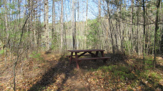 Picnic table near the pond