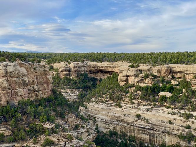 View into the canyon with the Cliff Palace in an alcove straight ahead