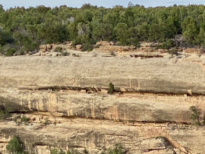 View of a 20-room cliff dwelling (circa 1200 CE)