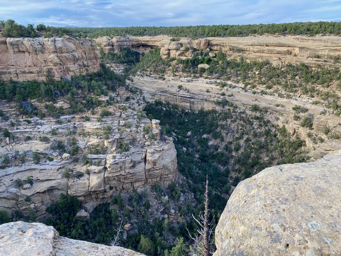View into the canyon with the Cliff Palace in an alcove straight ahead