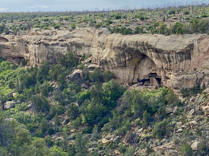 View of the Oak Tree House cliff dwelling (1200 CE)