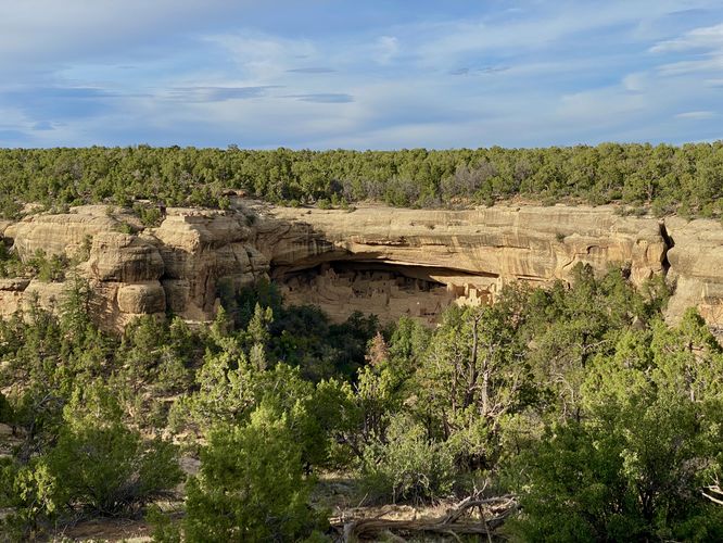 View of the Cliff Palace