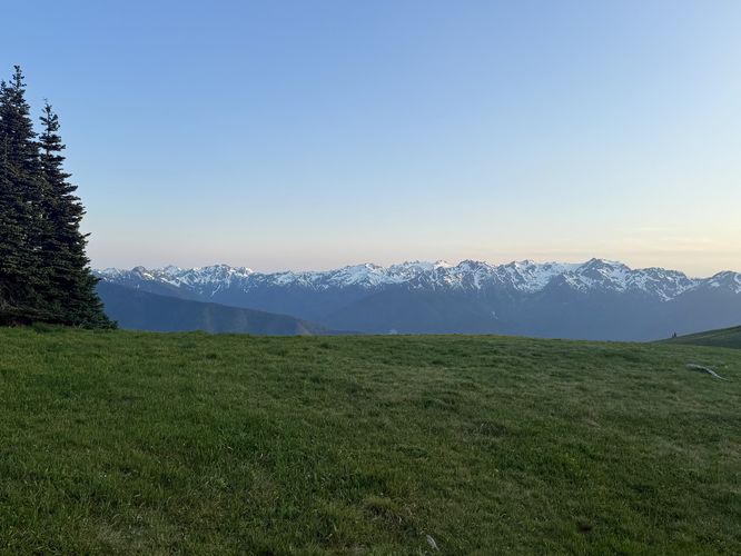 View of the mountains from the meadow