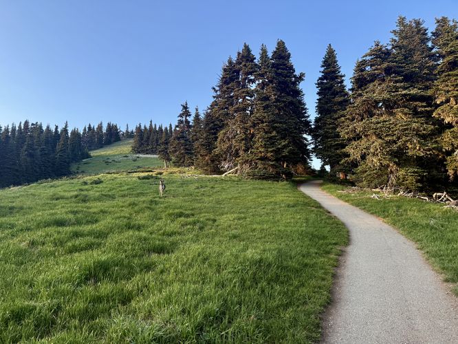 Picture 3 of Sunrise Point Loop