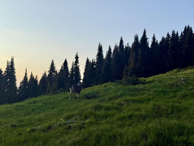 Picture 4 of Sunrise Point Loop