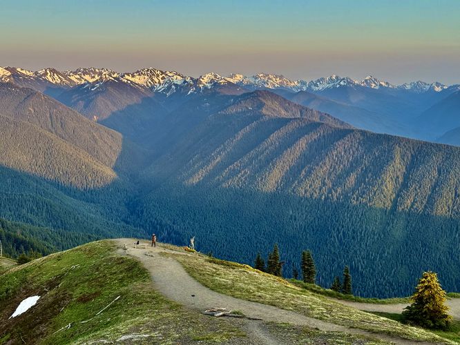 View of Sunrise Point from uptrail