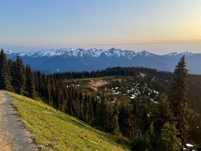 South-facing view of the Olympic Mountains from the ridge trail