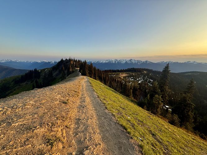 South-facing view along the ridge trail with snow-capped Olympic Mountains in the distance