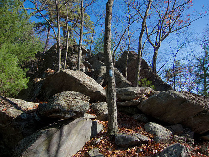Picture 5 of Sunset Rocks Hike 032616