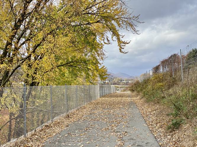 Paved path of the Susquehanna River Walk