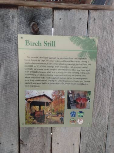 Birch Sill Exhibit