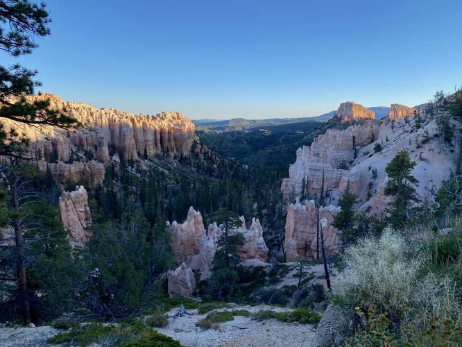 View into Bryce Canyon's Swamp Canyon