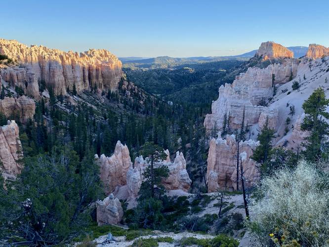 View into Bryce Canyon's Swamp Canyon