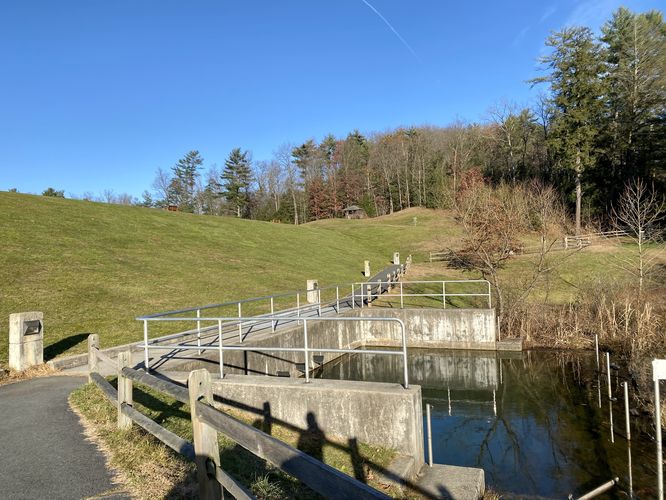 Reservoir holding pond with swamp