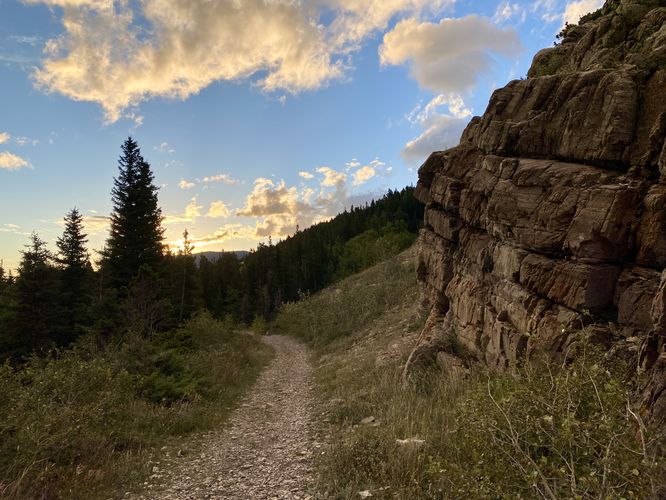 Trail passes rock ledges on the way to Swiftcurrent Falls