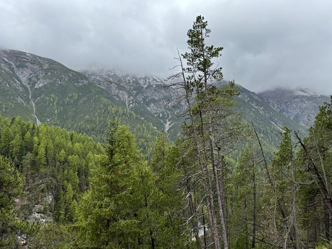 Swiss National Park Alpine View - Swiss National Park Alpine View album