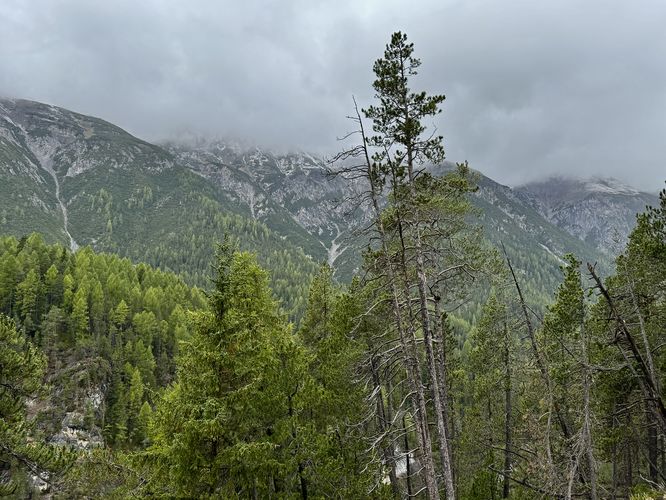 View of alpine mountains in Swiss National Park