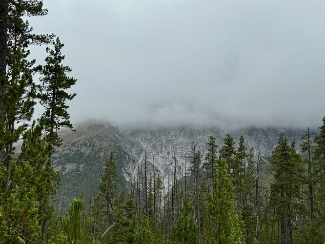 More alpine mountain views from the trail in Swiss National Park