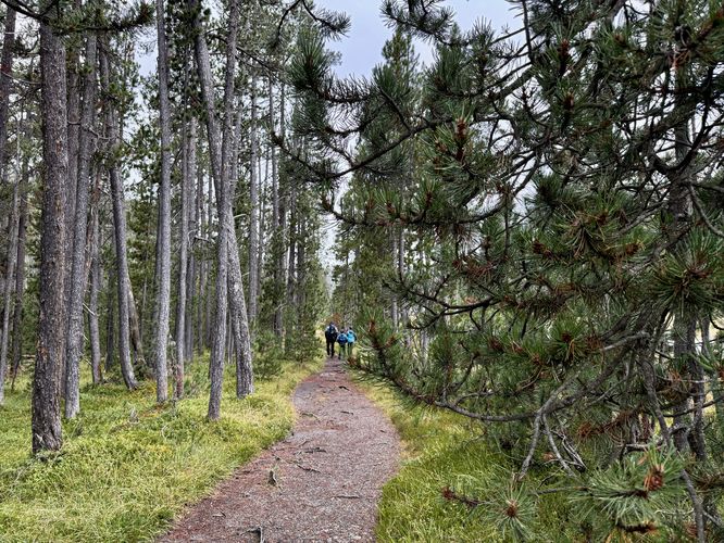 Hikers on a nature trail in Swiss National Park