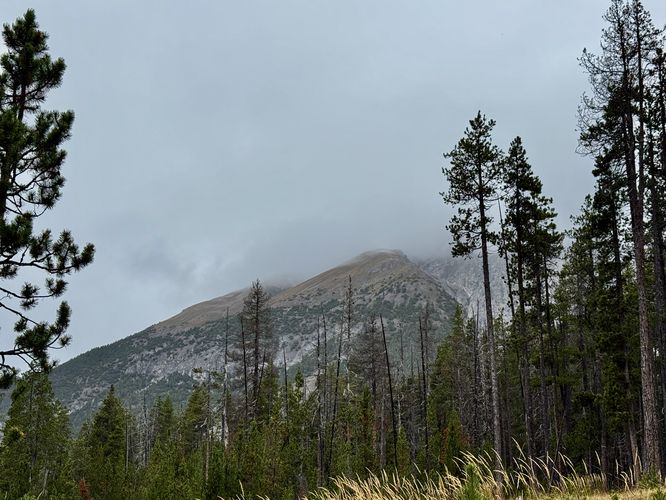 View of the alpine mountains that surround Swiss National Park