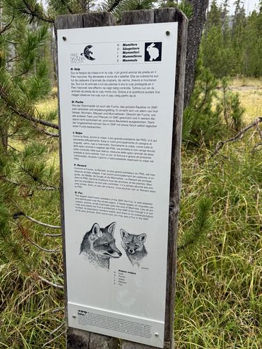 Picture 8 of Swiss National Park Nature Hike