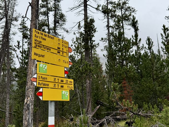 Picture 9 of Swiss National Park Nature Hike